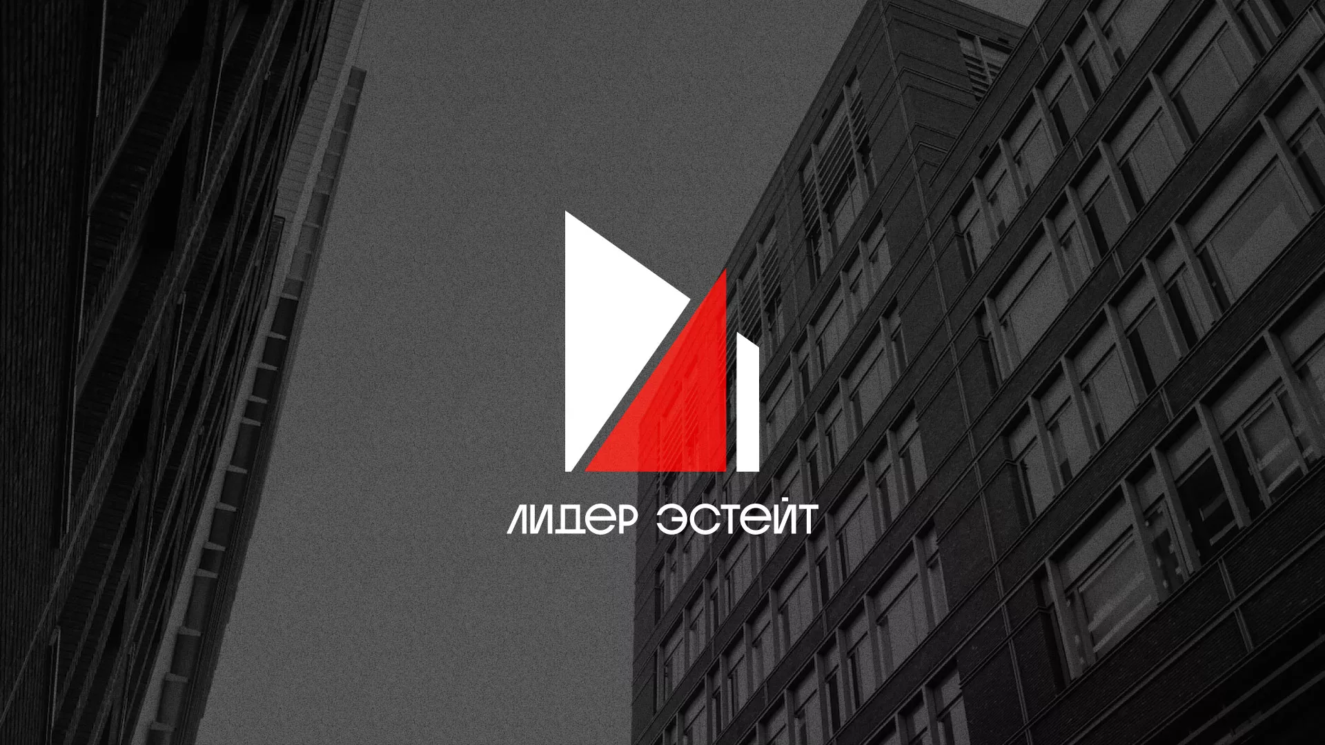 Сделали логотип для агентства недвижимости «Лидер Эстейт» в Кореновске